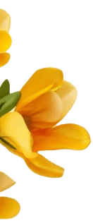 Discover Synthite Realty's Mission Synthite Realty's Mission